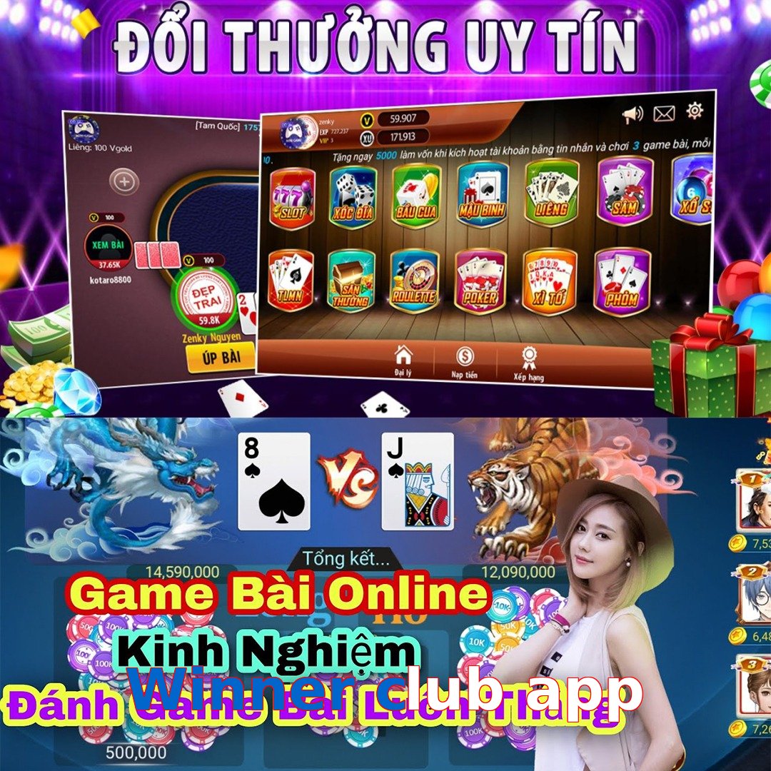 Winner club app